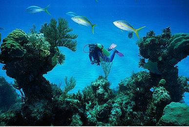 《燕云十六声》1.5版本踏实搞优化 持续听劝欢迎交流